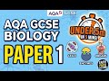 GCSE | ALL OF  PAPER 1 IN 5 MIN | BIOLOGY AQA