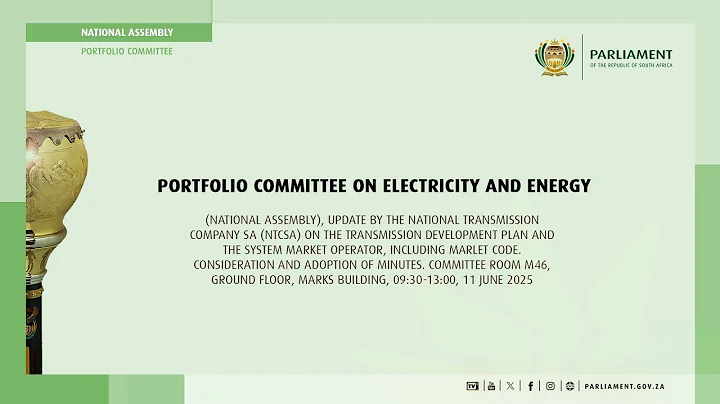 Portfolio Committee on Electricity and Energy, 11 June 2025