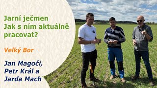 Jarní sladovnický ječmen - Ekonomická plodina | Velký Bor | Jan Magoči, Petr Král a Jarda Mach