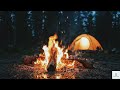 Camping in the Woods with Warm Fire Sounds 🌲 Relaxing Night Ambience