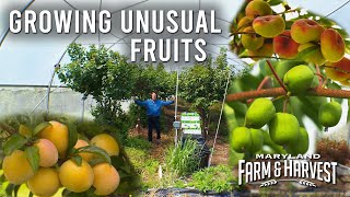This Orchard Has (Almost) Everything!  |  MD F&H