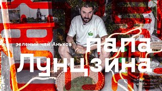 видео: Зеленый Чай. Прародитель Колодца Дракона - Дингу Дафан и Тайпин Хоукуй картинка: Зеленый Чай. Прародитель Колодца Дракона - Дингу Дафан и Тайпин Хоукуй