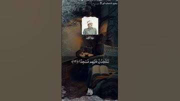 محمود الشحات أنور 🤍 سورة الكهف 🌼 حالات واتس