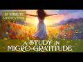 Micro Gratitude, A 10-Minute Meditation