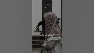 الم تر كيف فعل ربك بعاد| سورة الفجر| محمد اللحيدان #المصحف #quran