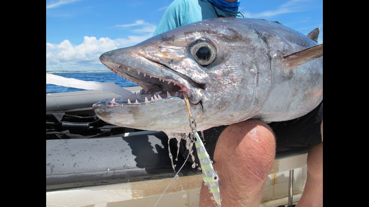 How to rig the Savage Gear Squish Jig for BIG FISH! 