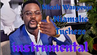 Micah Wanyenje   Niamshe Tucheze Pole Pole  Instrumental