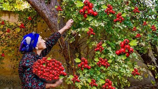 Собрали с огорода ягоды боярышника и приготовили компот из свежего боярышника