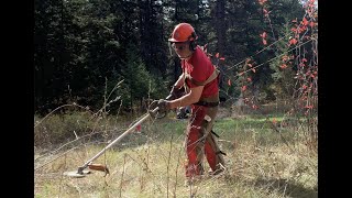 Clearing Overgrown Orchard Episode 53