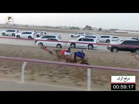 الشوط 9 العاصمه ل علي سالم بن ربيع المنصوري 2 12 91 شارة الصندوق 2022 7 24 فطامين الوثبة