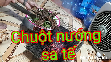 Clip 14 Chuột nướng sa tế cực ngon.