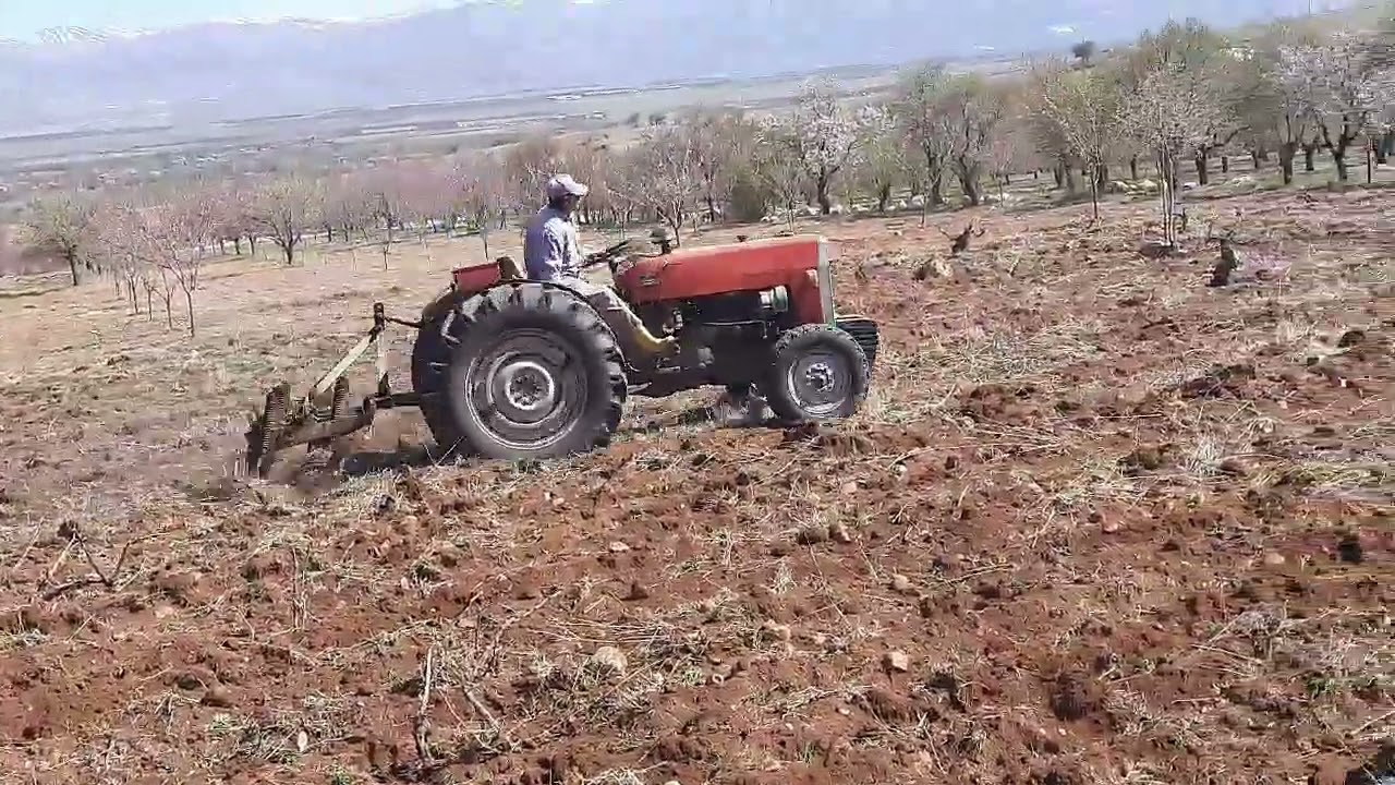 massey ferguson 240 7li kültivatör (cultivators)
