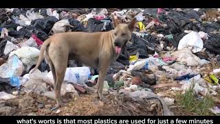 “BREAKING FREE FROM PLASTIC: A CALL FOR CHANGE”