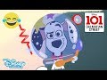 101 Dalmatian Street | Prank Pups - Episode! | Disney Channel UK