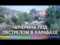 Кошка спасла жизнь Чичериной в Нагорном Карабахе - певица попала под обстрел