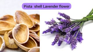 pista shell Lavender flower/simple Pista shell crafts/pista shell flower making/Pista shell crafts