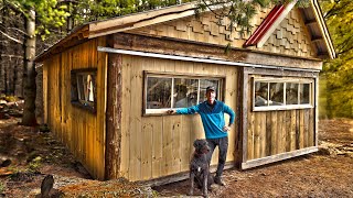 I Built a $50 Sawmill Shed!