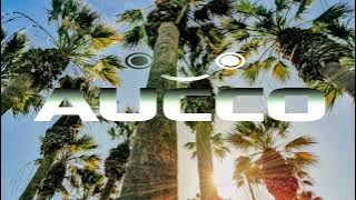 Aucco - UP UP | Rijune ft Wanshan 🎶 (Siren Jam Remix)