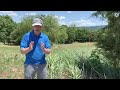 Antietam Valley and Civil War Discoveries