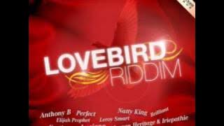 Lovebird Riddim Megamix Part 1