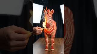 zebra ka ai video 📸