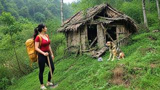 Young Woman Quits Her $300 Million-a-Month Job to Start a New Life in the Forest | Senh Forest Farm