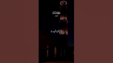 قال ربي اشرح لي صدري////سعد الغامدي تلاوه خاشعه وراحه نفسيه