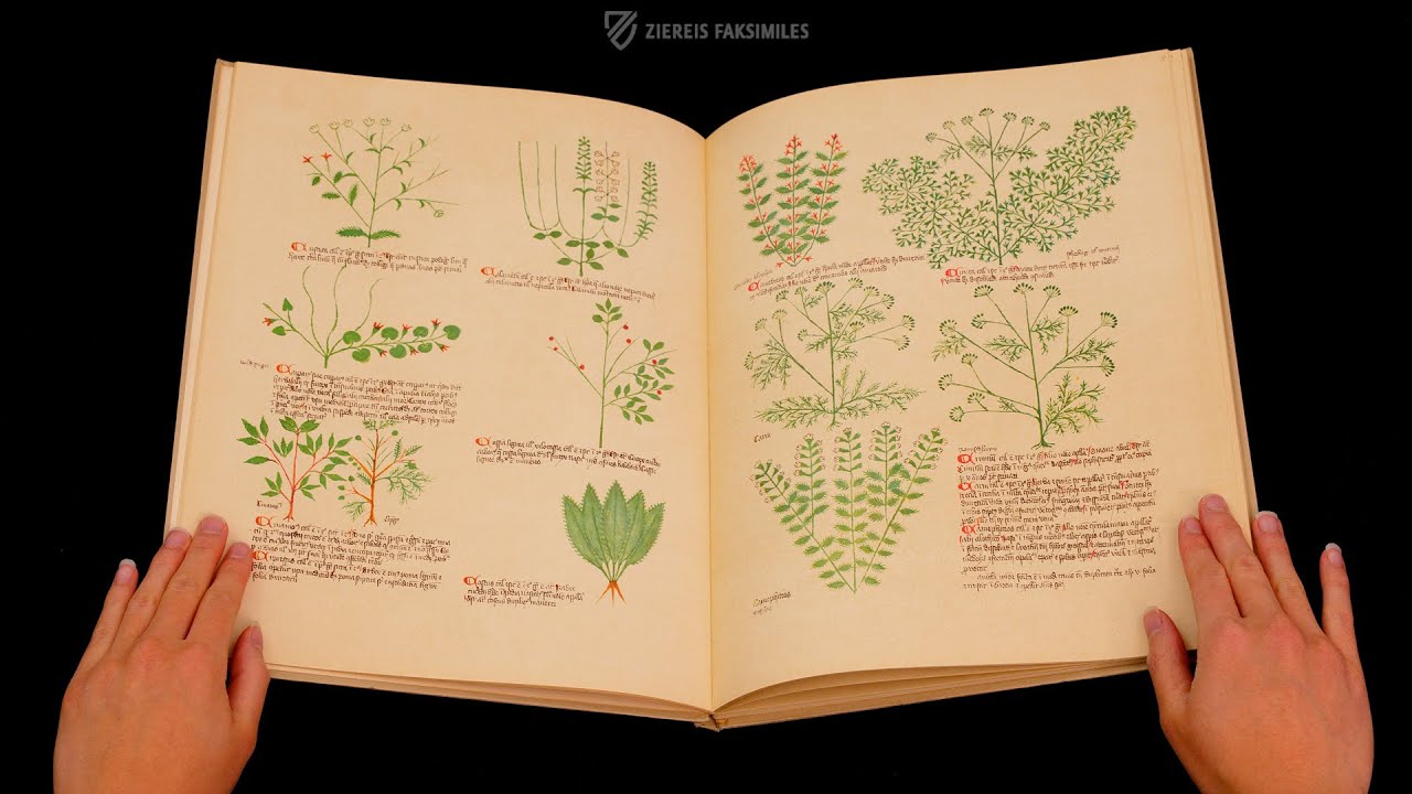 THE ALSACE CIRCA INSTANS - DE SIMPLICI MEDICINA - Browsing Facsimile Editions (4K / UHD)