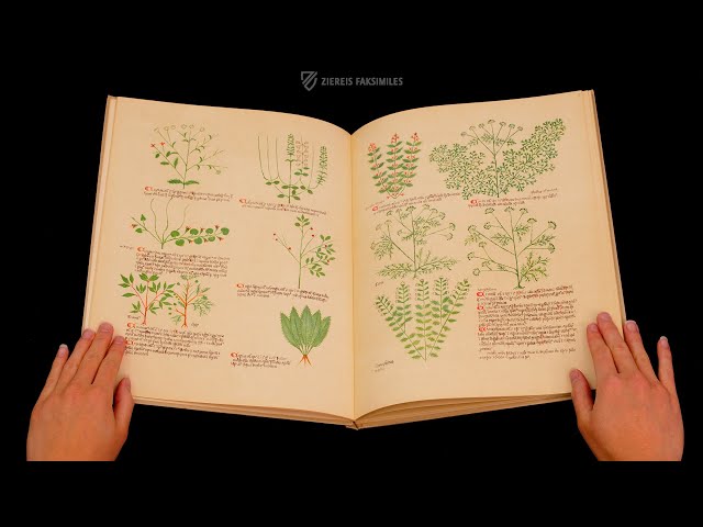 THE ALSACE CIRCA INSTANS - DE SIMPLICI MEDICINA - Browsing