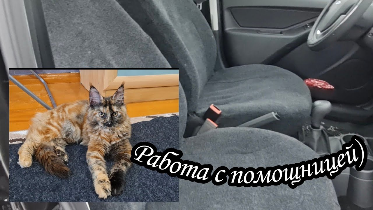 Как сшить чехол на сидение в машине. Мастер класс - YouTube