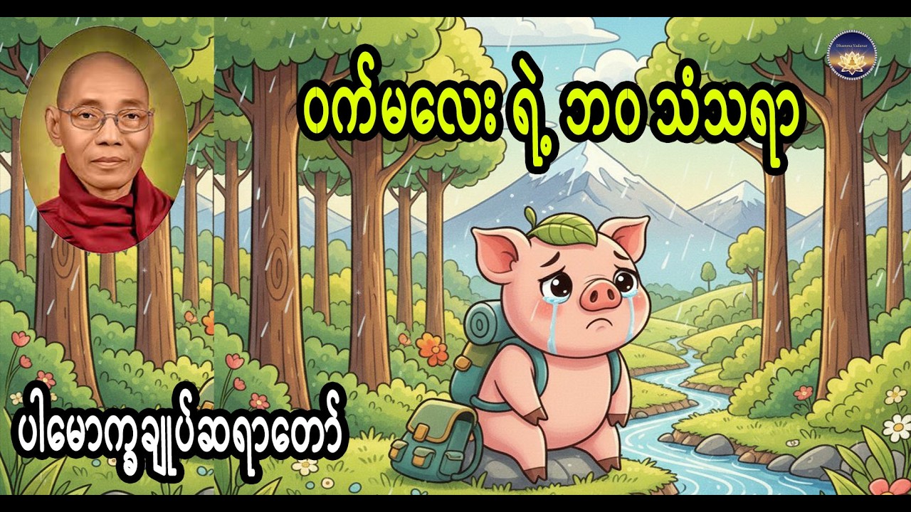 ၀က်မလေး ရဲ့ ဘ၀ သံသရာ ပါမောက္ခချုပ်ဆရာတော်