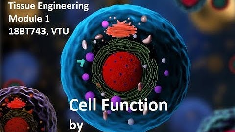 Tissue Engineering, Module 1,  Cell Function #vtu #tissueengineering #vtuexams #vlog