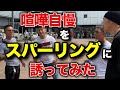 街の喧嘩自慢にプロ格闘家がスパーリングを申し込んだらやるのかやらないのか【前編】