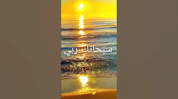 دعاء ادعيه ماهر زين في حماك ربي 