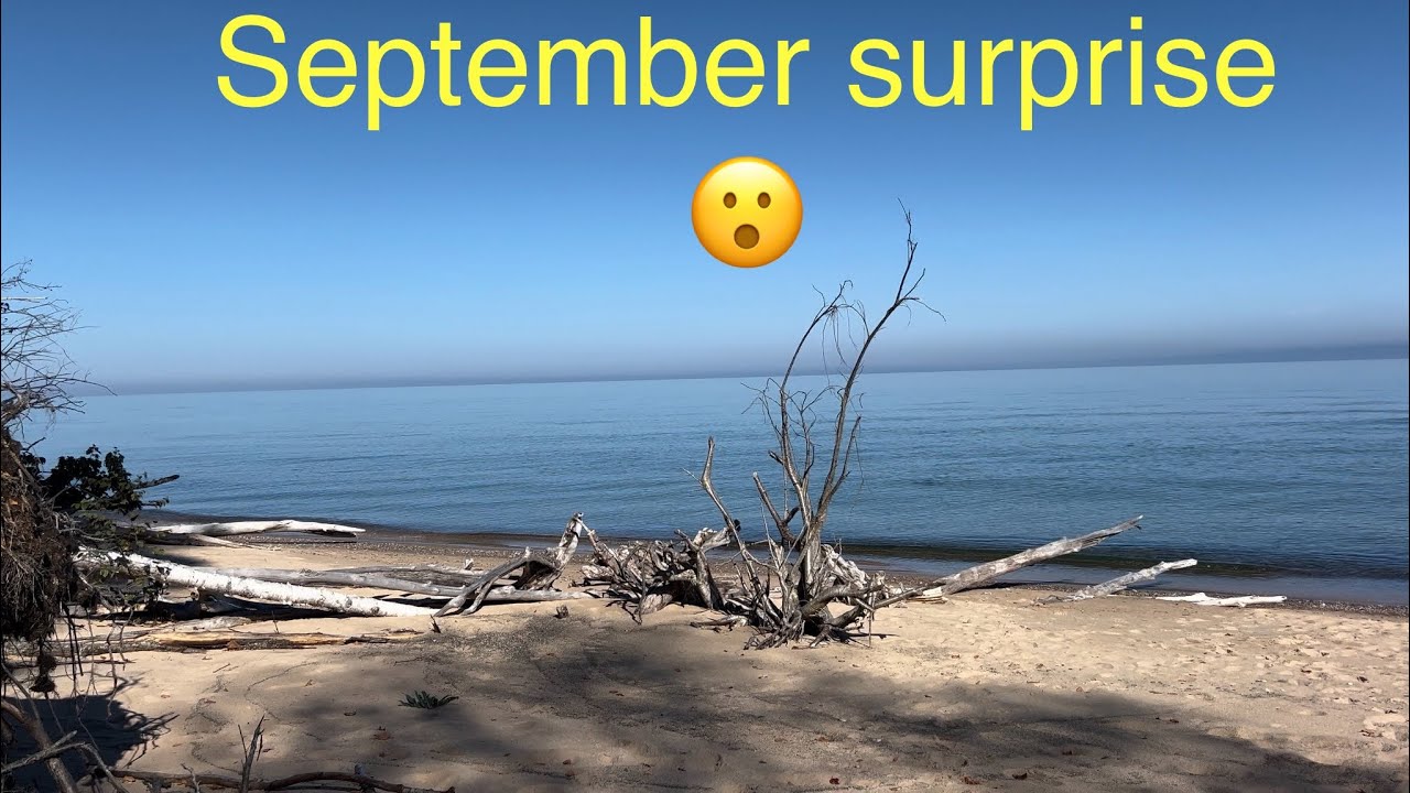 Surprise at the beach !! GOLD!!