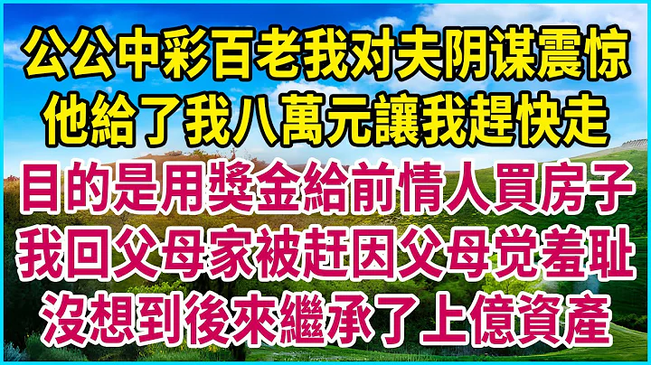 公公中彩百老我對夫陰謀震驚，他給了我八萬元讓我趕快走，目的是用獎金給前情人買房子，我回父母家被趕因父母覺羞恥，沒想到後來繼承了上億資產 #生活經驗 #情感故事 #深夜淺讀 #幸福人生 #深夜淺談 - 天天要聞