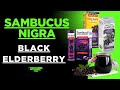 Black elderberry | powerful immune booster| benefits ,side effects ,dosage, choose a perfect product