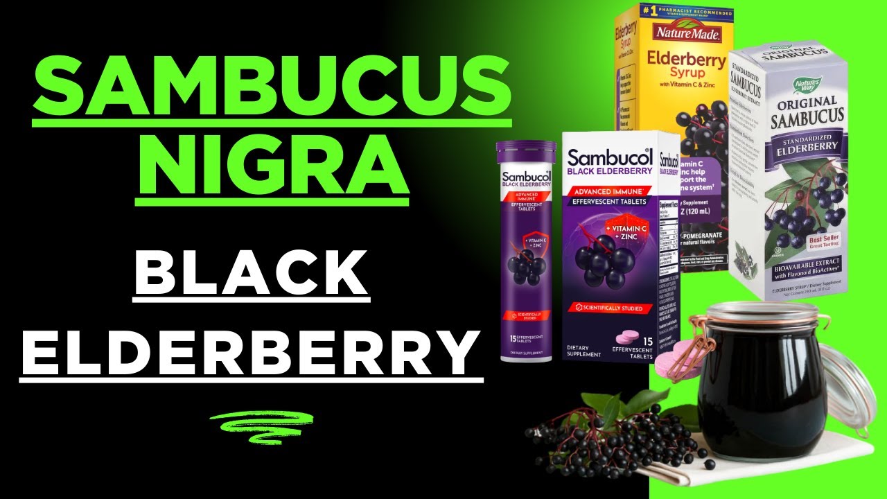 Black elderberry | powerful immune booster| benefits ,side effects ,dosage, choose a perfect product