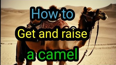 Where to get and how to raise a camel in Conan Exiles Age of War 2024