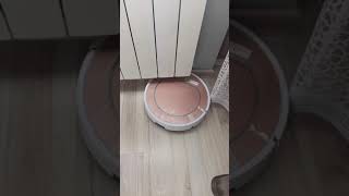 VID 20201022 124808