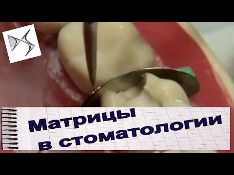 Стоматологическая поликлиника самара