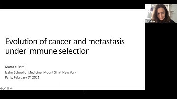 Cancer evolution and metastasis under immune selection