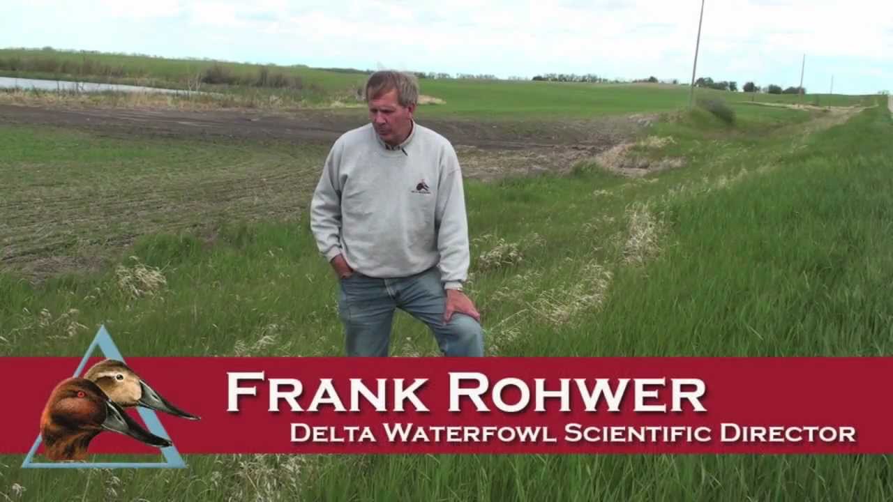 Predator Management YouTube