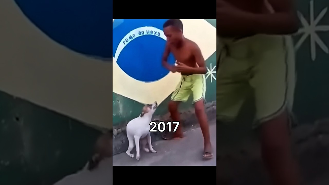 Legendary Cat Memes (Then Vs Now) 😿💔