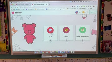 Freckle Math Program in K