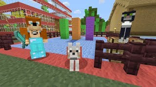 Minecraft Xbox  Turbo Types [166]