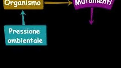 Che cosa dice la teoria dell'evoluzione?