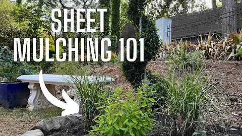How to start a new garden bed from scratch with sheet mulching + tips for planting in clay soil