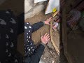 إخراج السحر المدفون تركيا دنيزلي
