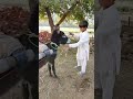 #funnyclip #comedy #funny #account #funnycomedy #comedymovies #onthisday #shortvideo
